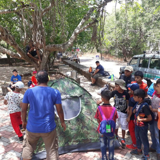 Survival Skills Every Kid Learns at a Summer Camp